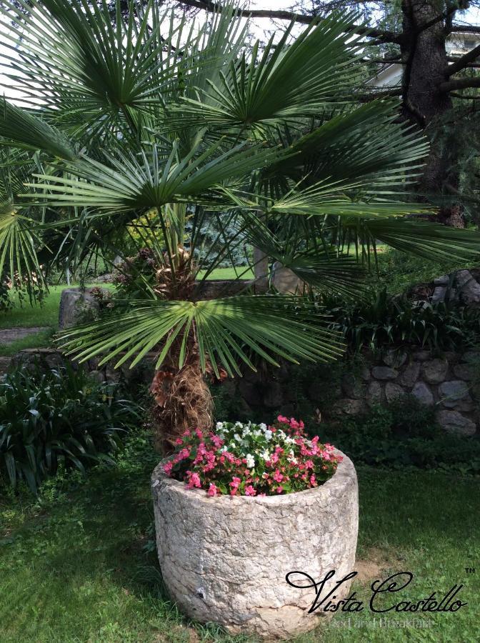 Vista Castello Bed & Breakfast Rovereto  Exterior photo