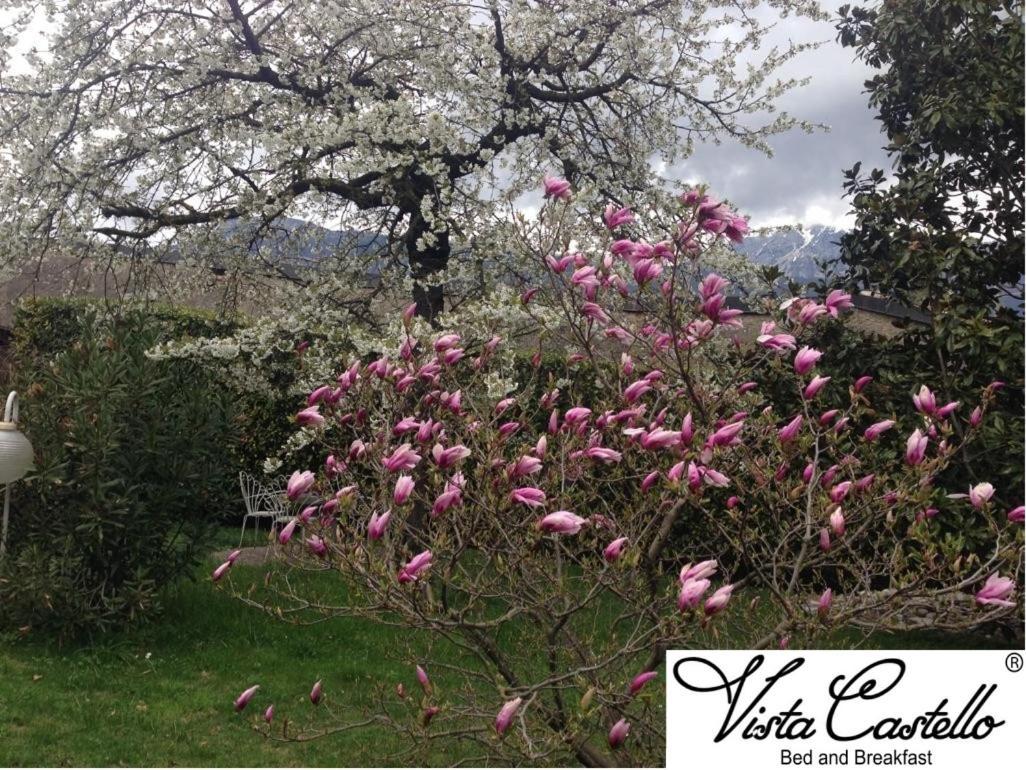 Vista Castello Bed & Breakfast Rovereto  Exterior photo